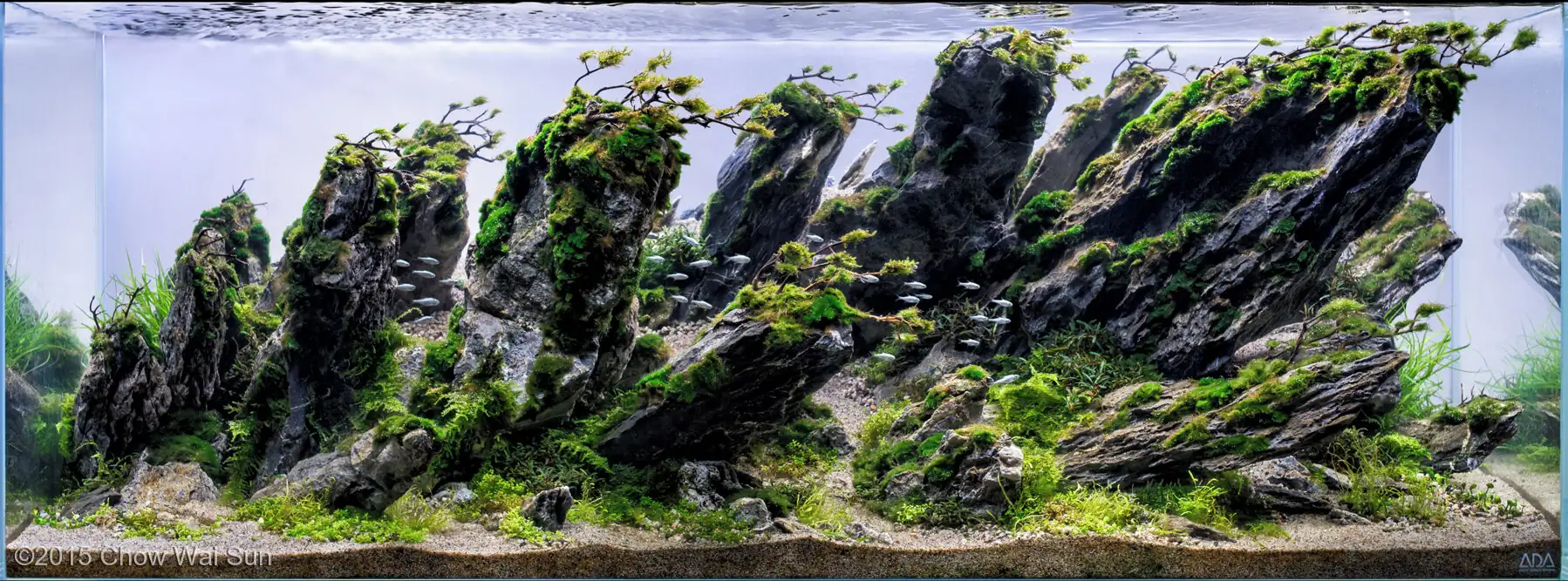 Wind of Kind - Honorable Mention AGA 2015 - Dave Chow / HongKong China